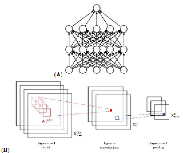 (A) A standard fully connected neural network where each layer's node is connected to each node from the previous layer.7 (B) A convolutional neural network connecting a covolutional layer to a pooling layer.