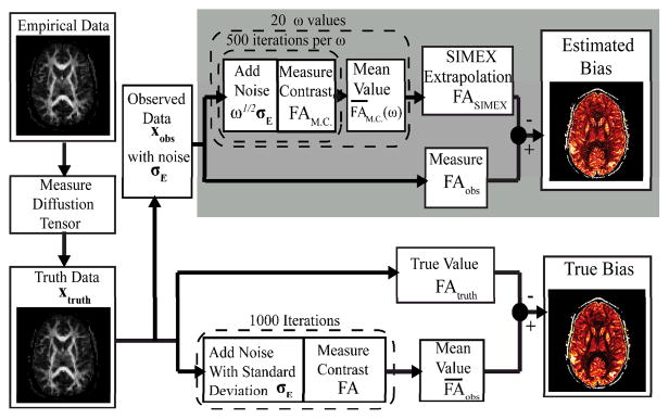 Flow chart of steps to create SIMEX Estimated Bias and True Bias maps. Variables refer to terms defined explicitly by equations in the Theory section.