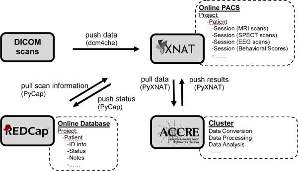 Overview of the integrated system. Multi-modal DICOM scans (upper left) are pushed to the XNAT/PACS server (upper right) via dcm4che tools. Verified DICOM scans are pulled and distributed to the cluster (bottom right) for further conversion, processing, and analysis by PyXNAT package scripts. The output results are pushed back for storage on XNAT. The online database REDCap (bottom left) provides/stores related information to/from XNAT. Black arrows indicate the directions of the data flow.