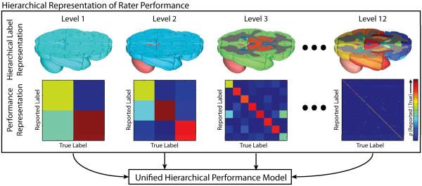 Hierarchical representation of rater performance. A hierarchical model is developed for the brain, where, at each level, the performance of a rater is quantified. The overall quality of rater is then estimated through the unified hierarchical performance model.