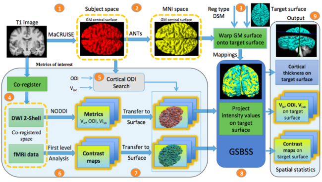 gsbss_flowchart