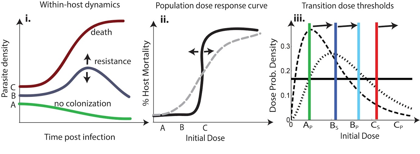 Diagram of Connecting within host dynamics to ecological thresholds of transmission and mortality