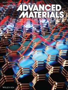 Our work was highlighted on the cover of Advanced Materials!