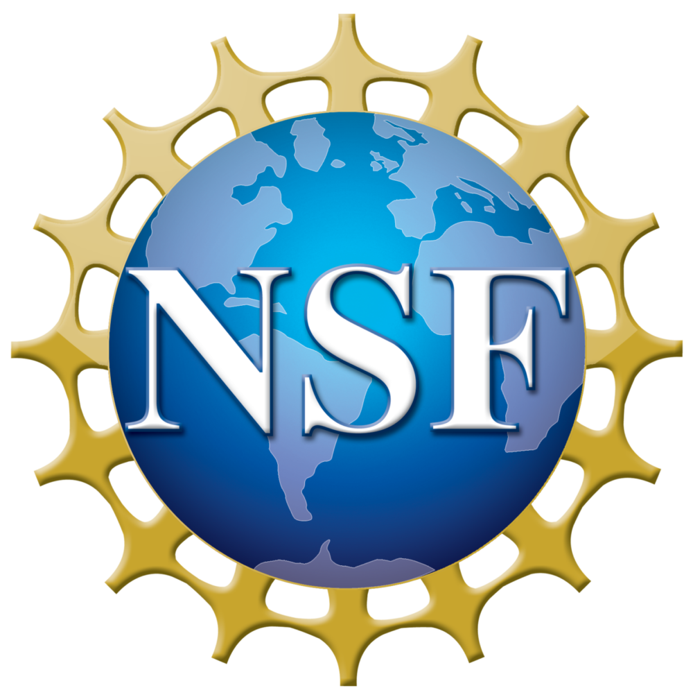 NSF_4-Color_bitmap_Logo-2