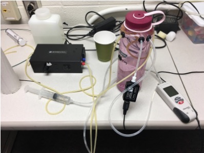 Figure 1: The setup of our model used for obtaining all measurements. The pump is shown in black on the left, the 60 mL syringe leading into a plastic bladder within the pink 1L nalgene is the method of increasing ICP. The ICP is read by the white, red, and black pressure gauge on the right, and the pressures within the simulated middle cerebral artery are continuously outputted to a computer from the small rectangular black pressure gauge shown in the middle.