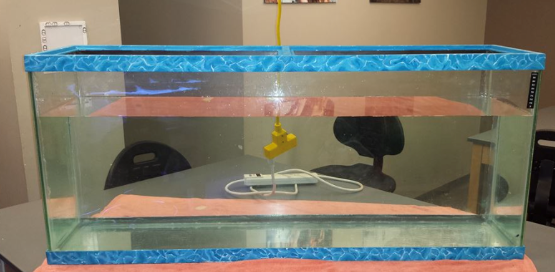 Upside Down Jellyfish Tank