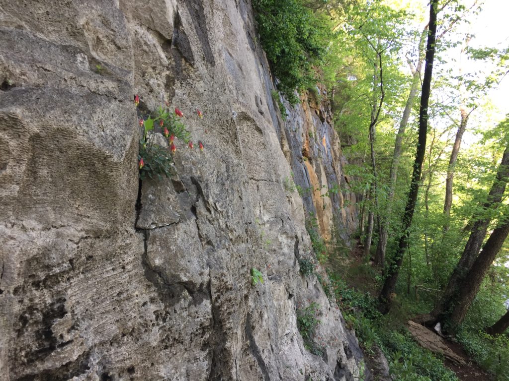 calibre crag review