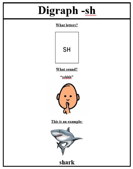 SH critical features card: have letter card for SH, sound "shhh" and an image of someone saying "sshh" and a picture of a shark with the word shark.