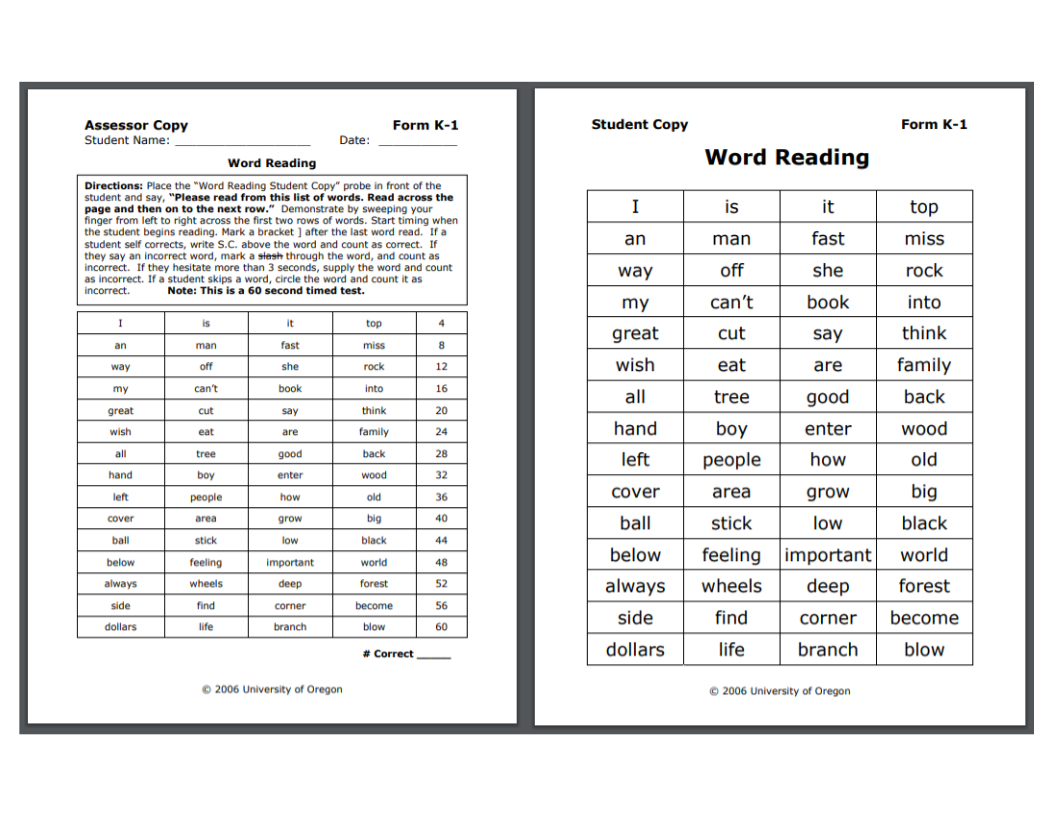 Example Word Identification Fluency Probe