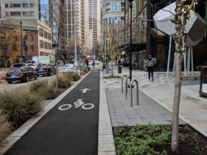 A bike lane shielded from the road by shrubs, plus a widened sidewalk