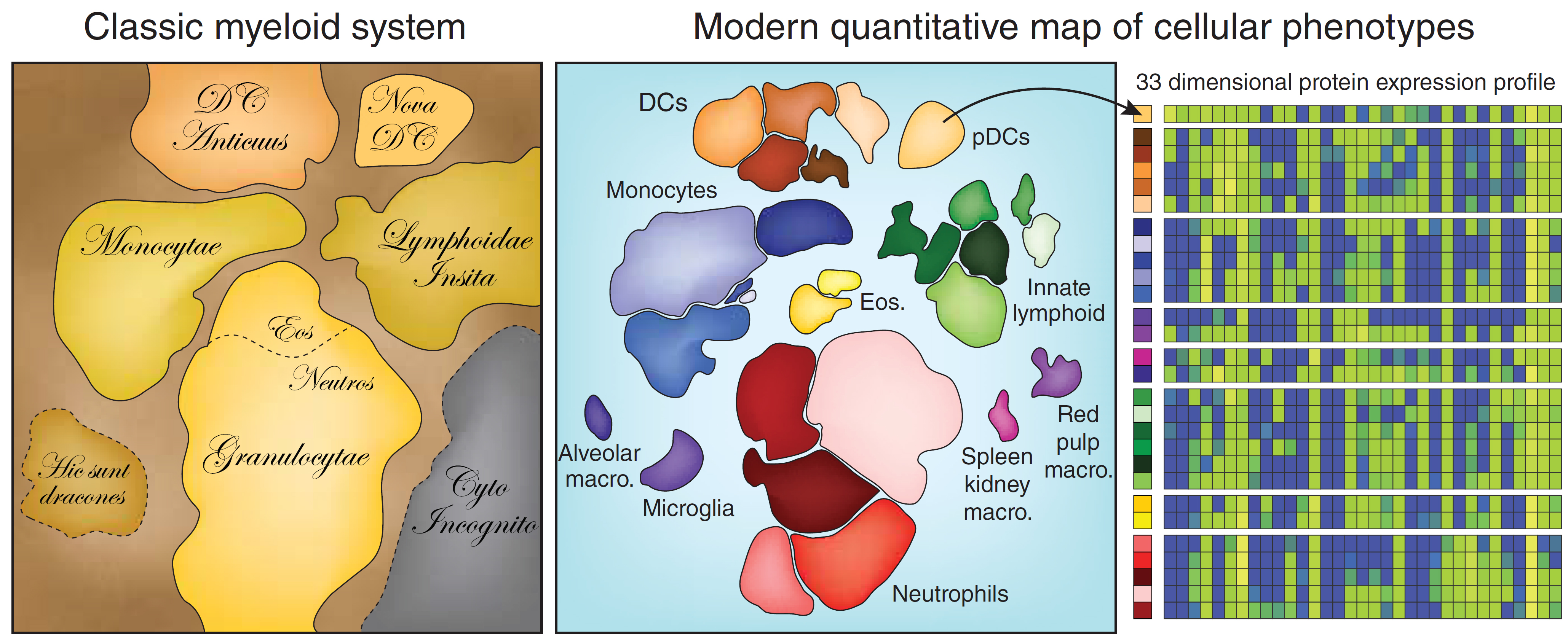 Irish, Nature Immunology 2014 - t-SNE maps the cellular world