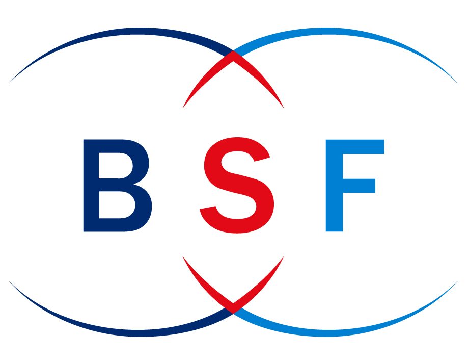 BSF Flat accounting logo design on white background. BSF creative initials  Growth graph letter logo concept. BSF business finance logo design.  20476719 Vector Art at Vecteezy