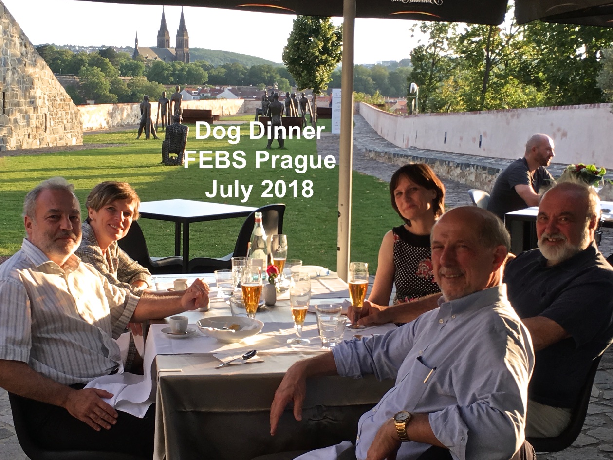 Prague FEBS 2018