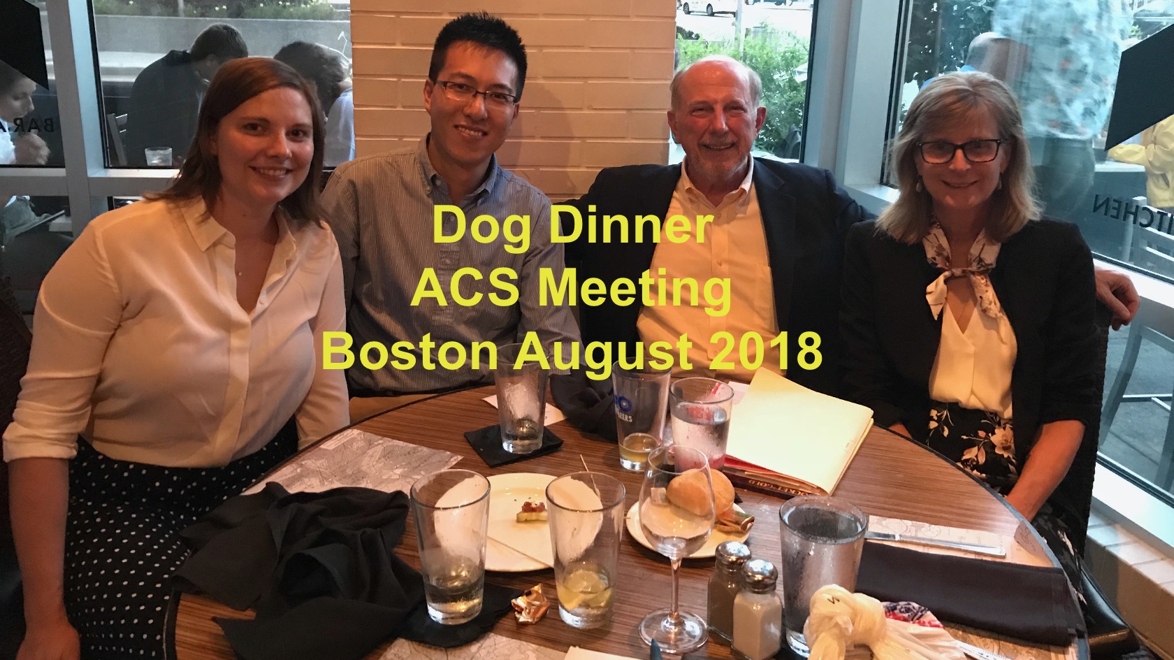 Dog Dinner ACS Aug 2018