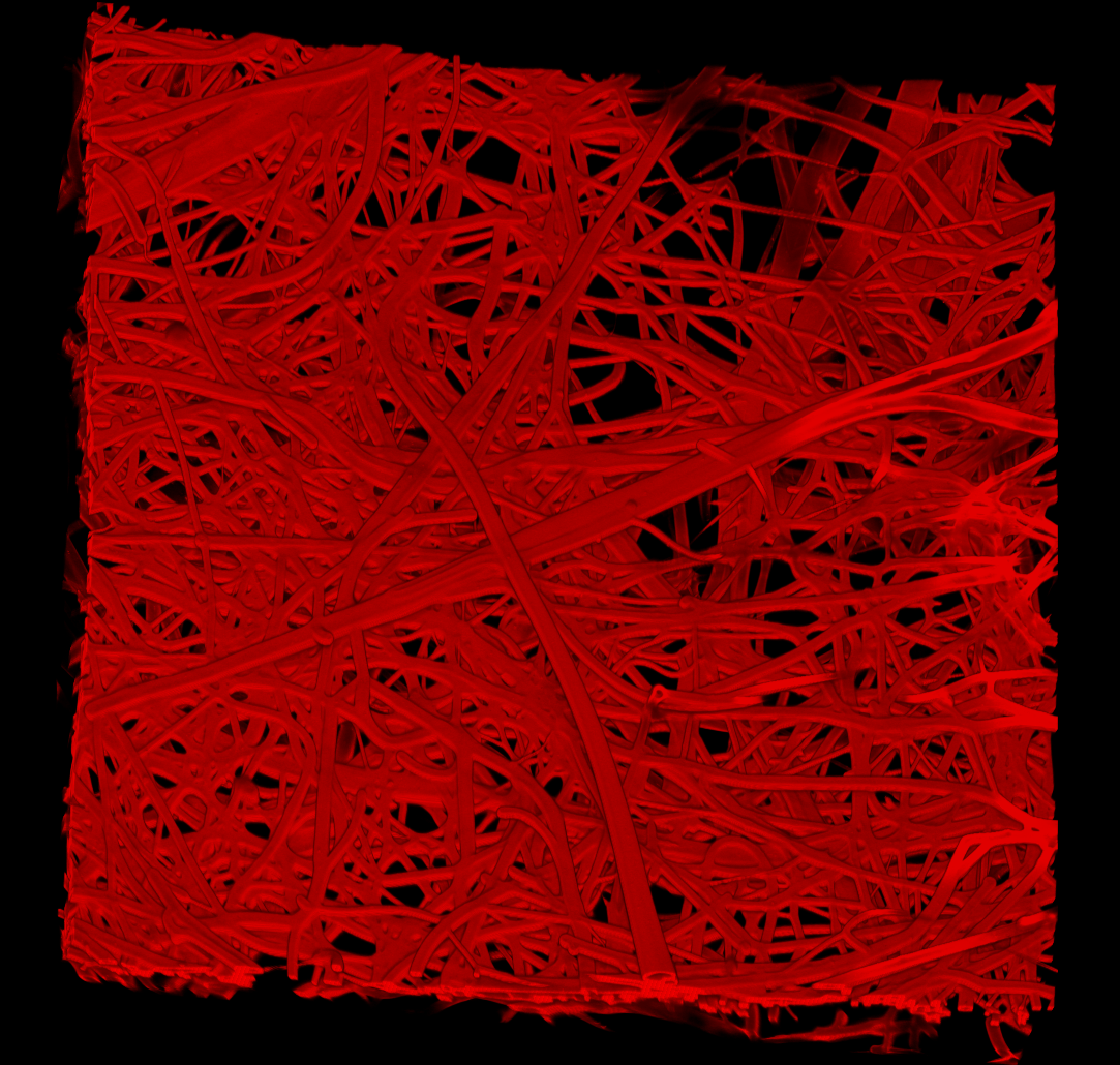 3D reconstruction of microchannels in gelatin formed using sacrificial microfibers