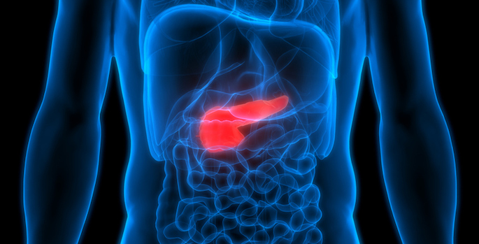 x-ray of a pancreas highlighted in red