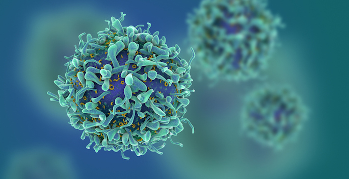 Rendering of T-cells in shallow depth of field