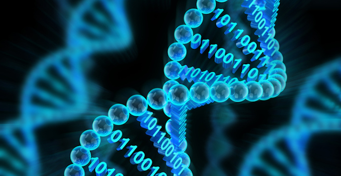 DNA molecules constructed with binary code