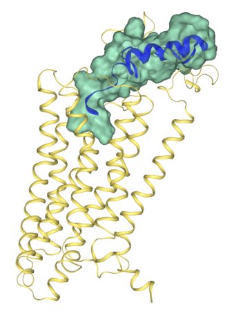 diagram of molecule