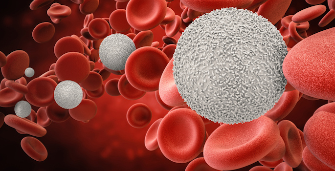 3d rendering white blood cells with red blood cells