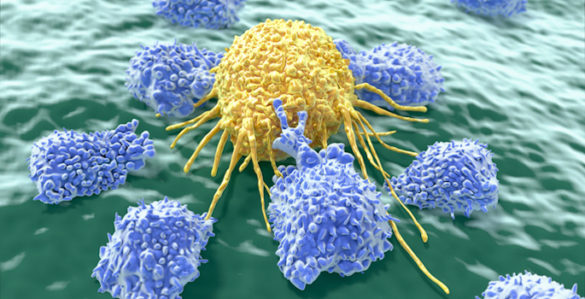 Cancer-fighting T cells are smarter, stronger than experts thought ...