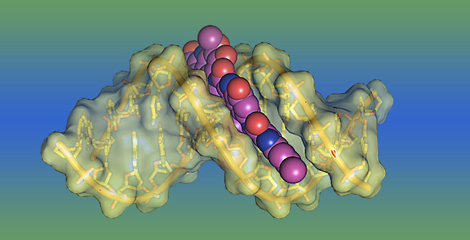 image of molecule with toxin attached to it