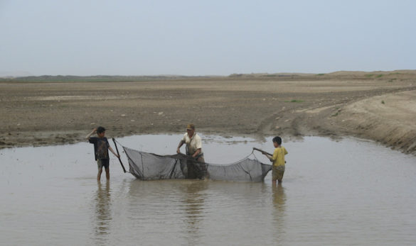 three men throwing a net into a tidal pool