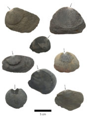 an array of chipped stones