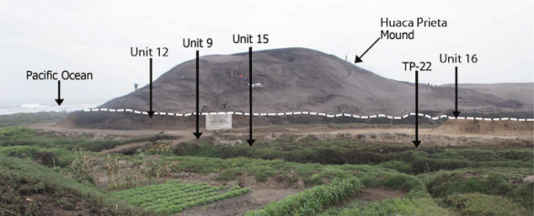 Photo of mound with dig sites indicated by arrows