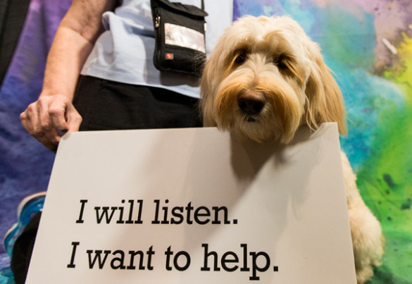 Furry friends provided some TLC to participants at the GO THERE campaign kickoff event Jan. 27. (Joe Howell/Vanderbilt)