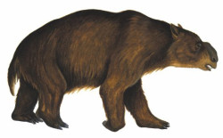 drawing of a giant bear-like creature