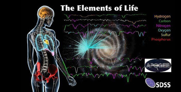 diagram showing the elements of life