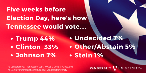 infographic showing voter preferences