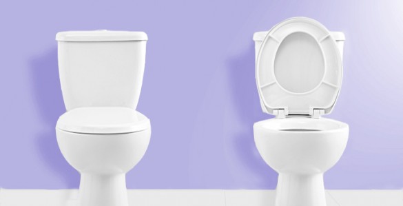 two toilets, one with lid up, one with lid down