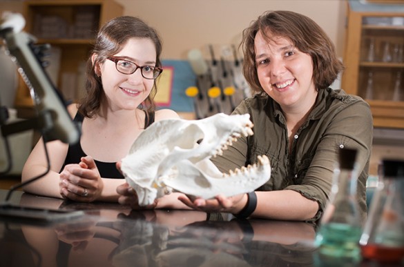 women in lab with sea lion skull
