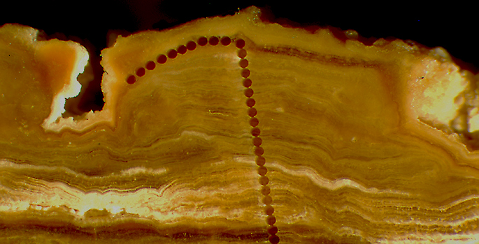 cross section of rock showing layers
