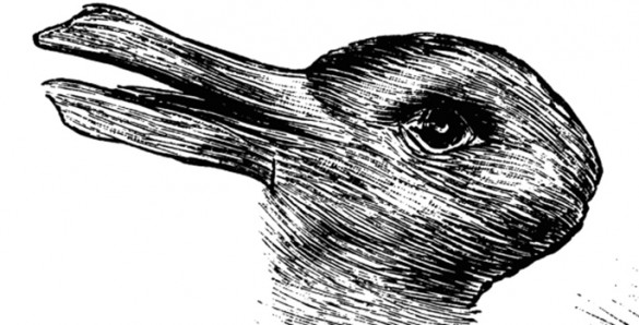 ambiguous image of rabbit that could also appear to be a duck