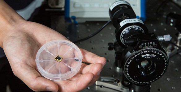 hand holding petri dish containing microchip next to large scope device