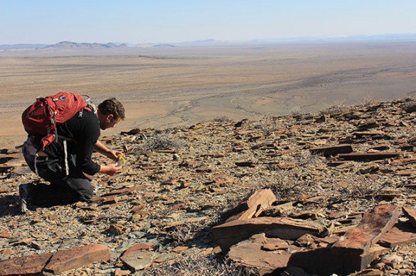 Darroch in desert examining rocks
