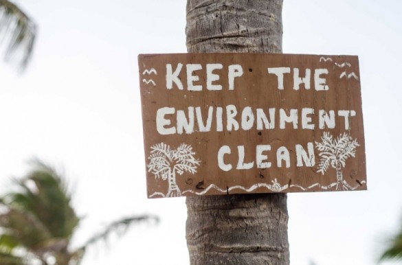 environmental conservation sign and coconut trees