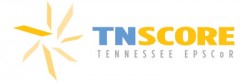 TN SCORE logo