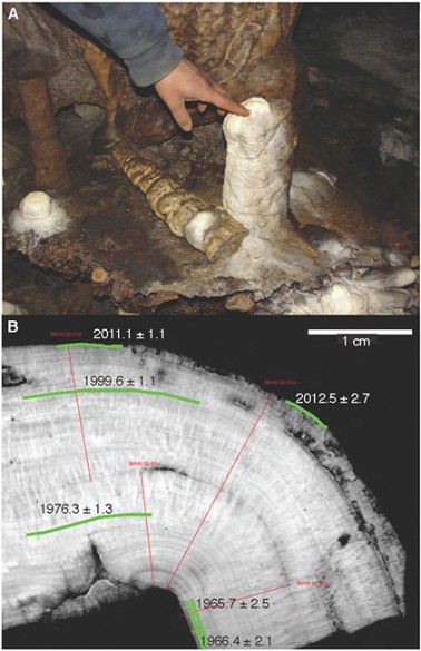 cross section of stalagmites