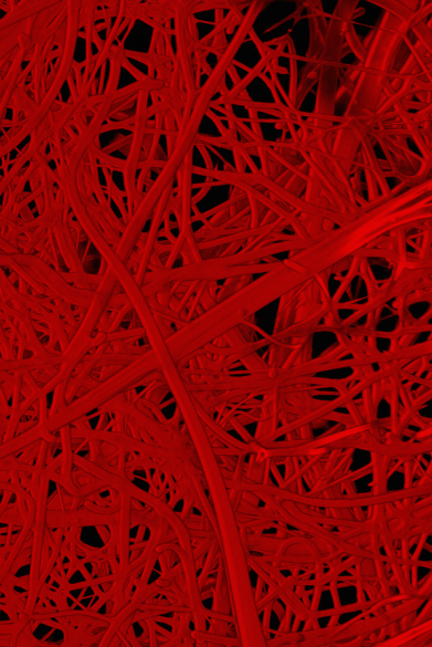 tangle of blood vessels