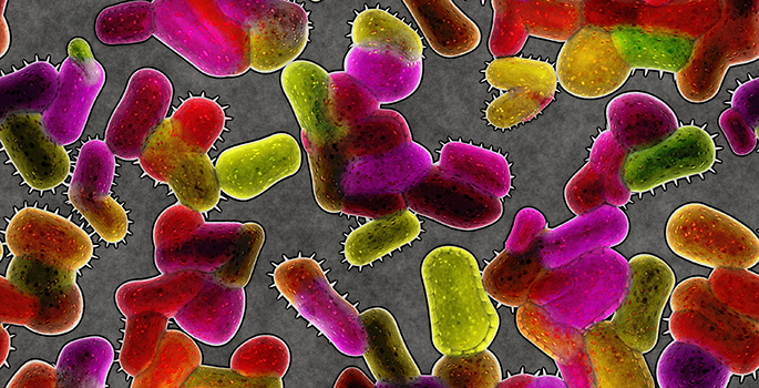 bacteria microbionome