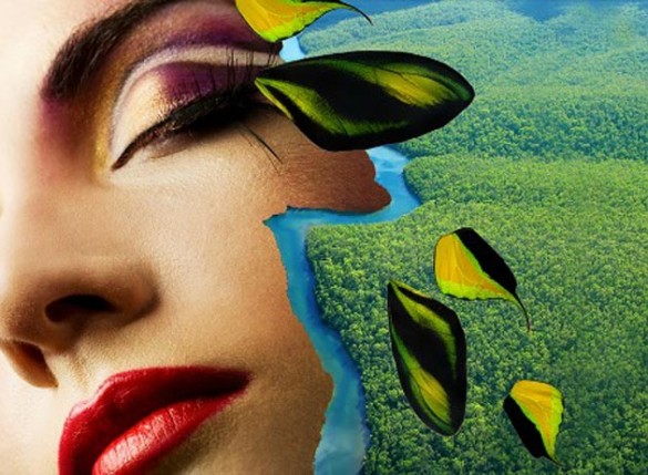Vanderbilt's Center for Latin American Studies will collaborate with the Nashville Opera for its January 2015 production of "Florencia en el Amazonas."