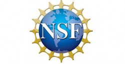 NSF logo