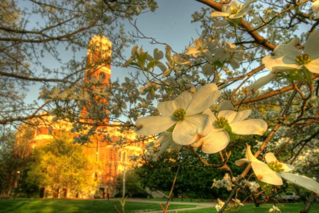 Vanderbilt University