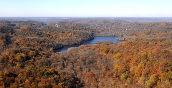 Radnor Lake