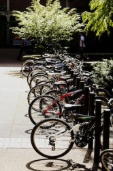 bikes on bike rack