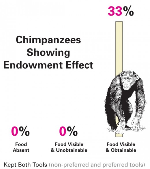 Endowment effect graph